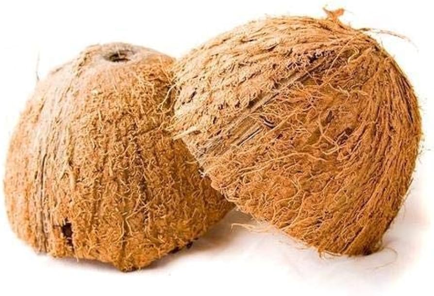 Coconut Shell